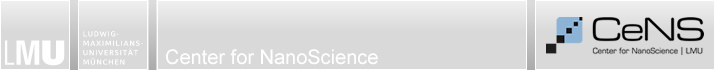 CeNS Center for NanoScience LMU Ludwig-Maximilians-Universität München